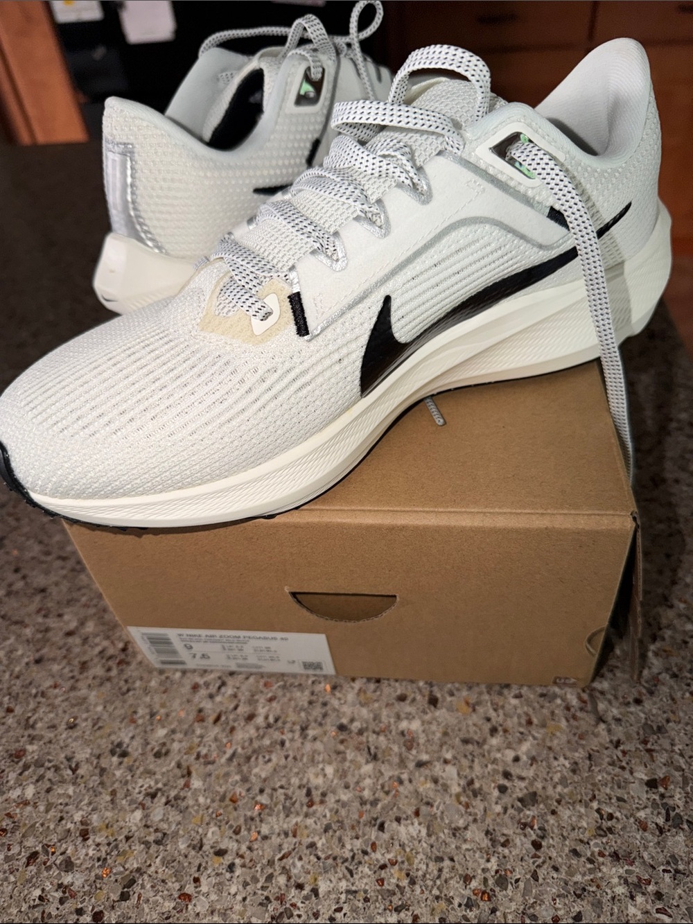 NEW in Box NIKE Air Zoom Pegasus 40 Shoes